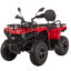 Квадроцикл BIZON YK250 Lux EFI