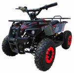 Электроквадроцикл MOTAX Grizlik X16 New E1000