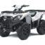 Квадроцикл KAWASAKI Brute Force 750 4x4i EPS (2023) (ПСМ)