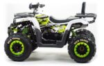 Квадроцикл MOTOLAND ATV 200 Wild Track