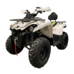 Квадроцикл MOTOLAND Shark 200