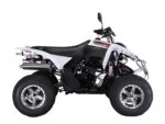 Квадроцикл RATO RТ250SТ-2