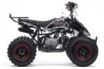 Квадроцикл BSE XT1 Black