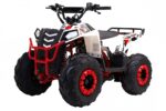 Квадроцикл WELS Thunder EVO M детский