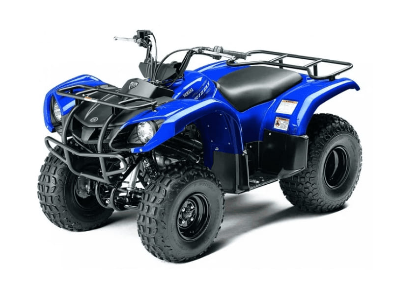 Квадроцикл GRIZZLY 125 Квадроцикл GRIZZLY 125