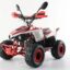 Квадроцикл MOTAX Mikro 110 New