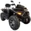 Квадроцикл KUGOO 400L 4x4 EFI
