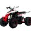 Квадроцикл MOTOLAND Rally 250