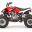 Квадроцикл MOTOLAND 250S