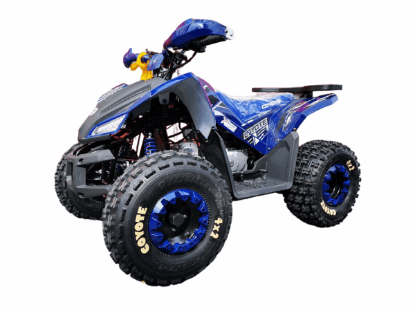 Квадроцикл MOTOLAND 125 Coyote Pro