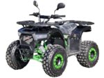 Квадроцикл RMOTO Lion 125AR Lite