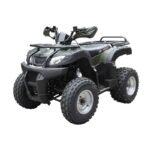 Квадроцикл ATV Beorn 200