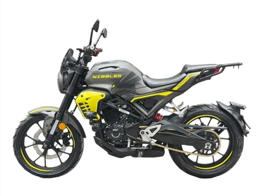 Мотоцикл REGULMOTO Nibbler 300 4V