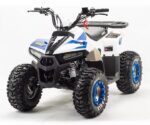 Квадроцикл MZ Eagle 110