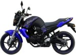 Мотоцикл MOTOLAND Bandit 300