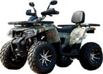 Квадроцикл YAMAHA Shark 300cc