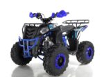 Квадроцикл WELS Thunder EVO