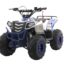 Квадроцикл MOTAX Grizlik A110