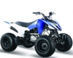Квадроцикл МОТОМИР Pantera 125