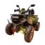 Квадроцикл FXMOTO Wasp 200