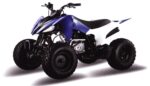 Квадроцикл MOTOLAND 150S