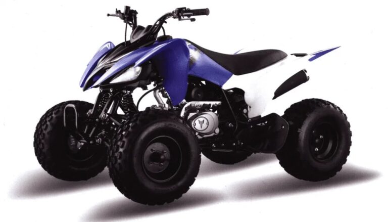 Квадроцикл MOTOLAND 150S