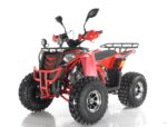 Квадроцикл RAPTOR Madman 200