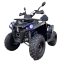Квадроцикл GLADIATOR F200 Premium