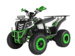 Квадроцикл WELS Thunder Evo 200