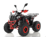 Квадроцикл RAPTOR R8